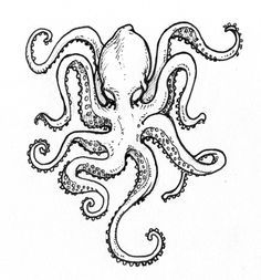236x253 9 Best Pulpo Images On Octopuses, Tattoo Ideas