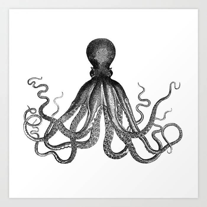 Kraken Drawing at GetDrawings | Free download