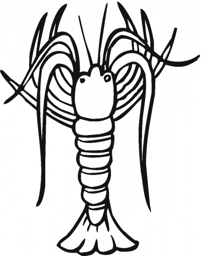 415x525 Shrimp Coloring Pages