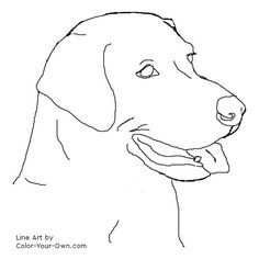 236x236 Learn How To Draw A Labrador Face (Farm Animals) Step By Step