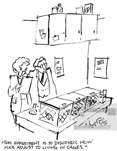 400x516 Lab Mouse Cartoons And Comics