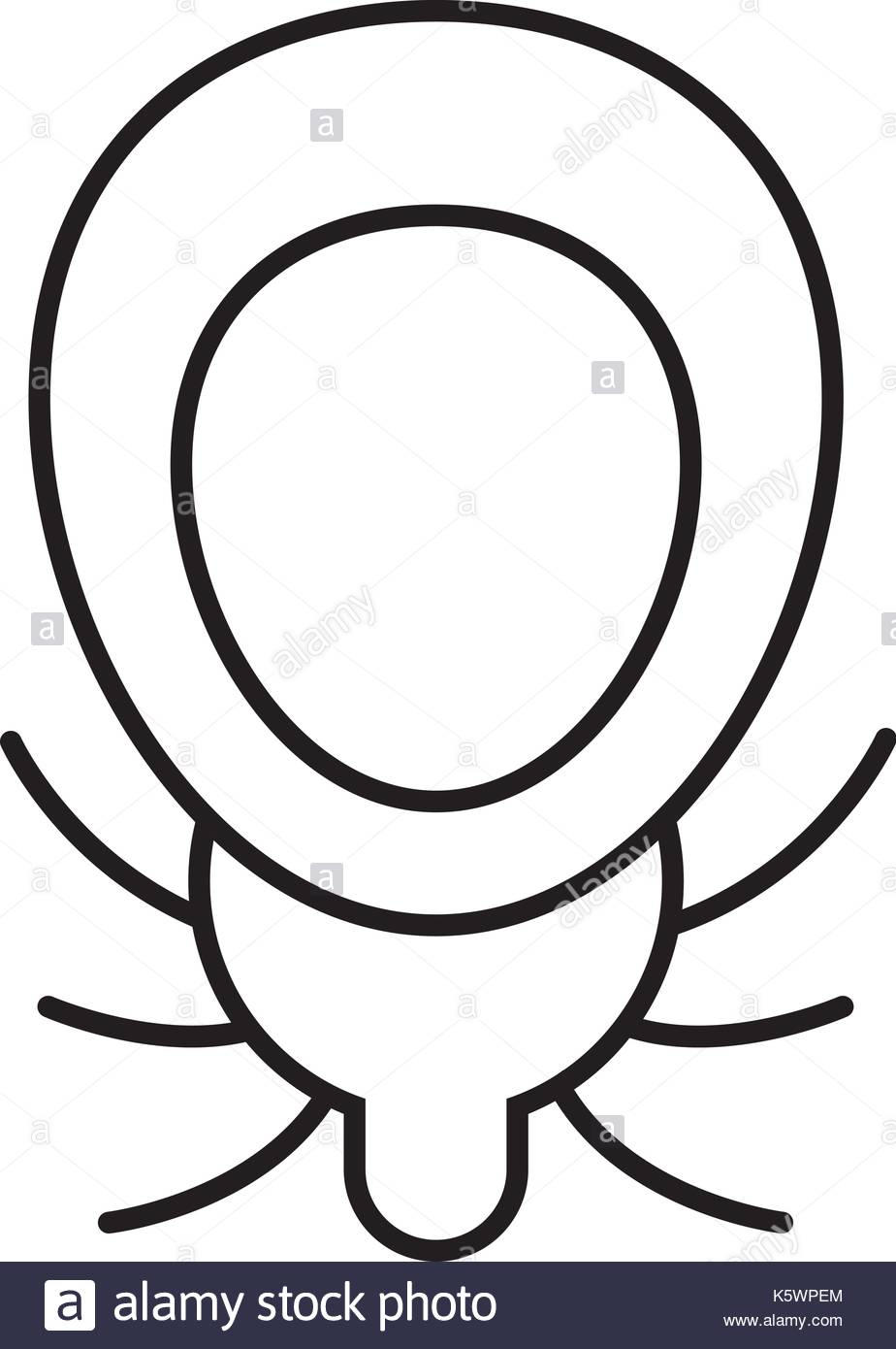 924x1390 Lab Mouse Stock Vector Images