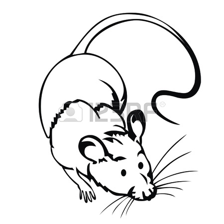 450x450 Laboratory Mouse. Royalty Free Cliparts, Vectors, And Stock