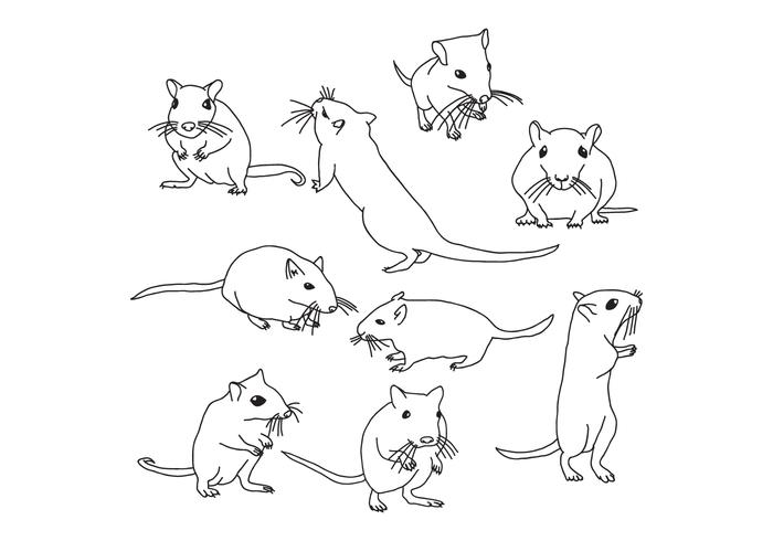 700x490 Mouse Animal Free Vector Art