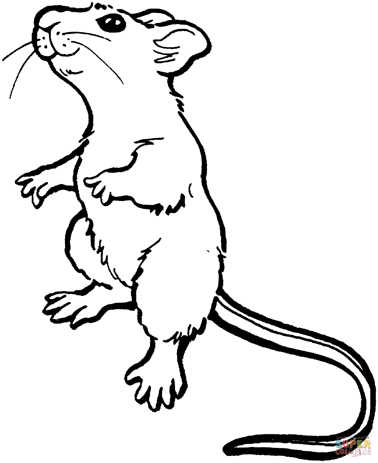 1227x1500 Rat Coloring Pages To Print Lab Rats Coloring Pages To Print