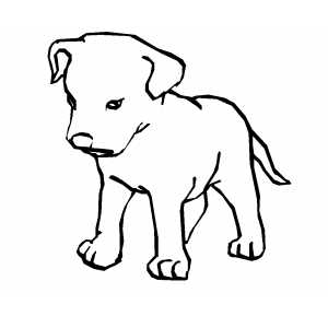 300x300 Dog Labrador Retriever Coloring Page, Yellow Lab Coloring Pages