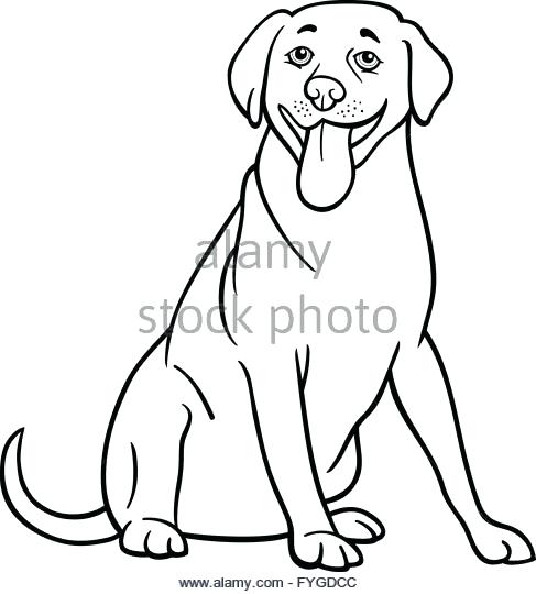 487x540 Labrador Retriever Coloring Pages Pin By On Coloring Pages