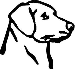 300x275 White Vinyl Decal Labrador Head Truck Puppy Dog Hunt Lab Country