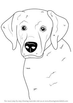 236x333 How To Draw A Puppy Drawing Drawings, Sketches