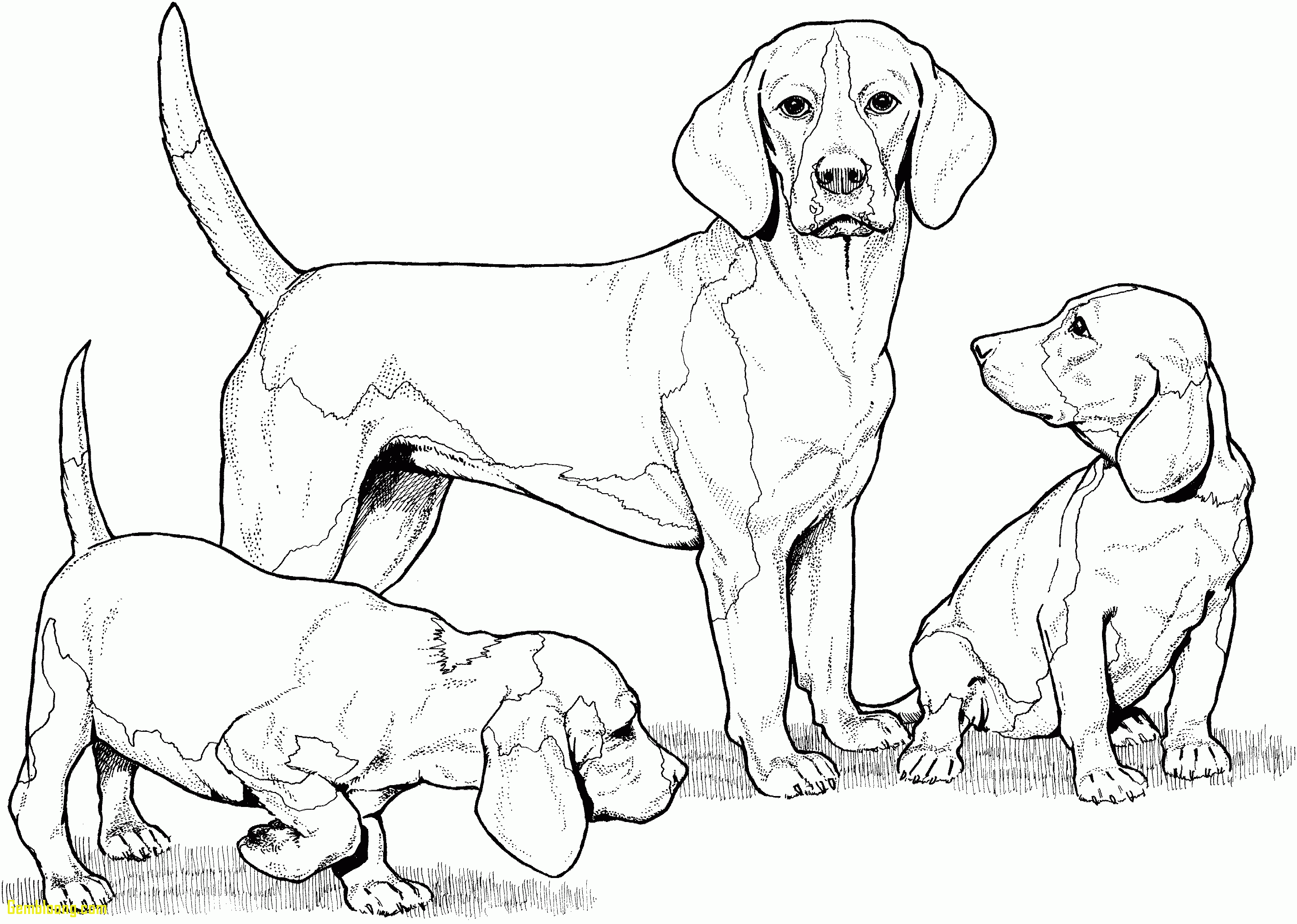 2847x2029 Lab Glass Tools Clipart Yellow. Golden Retriever Puppy Coloring
