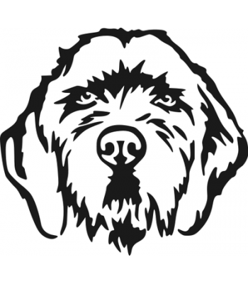 350x400 Hungarian Vizsla