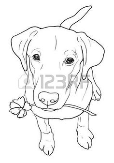 236x337 40 Simple Dog Drawing To Follow And Practice Canvases, Animal