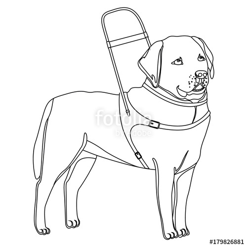 500x500 Labrador Retriever Guide Dog Outline Stock Image And Royalty Free