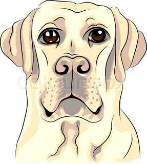 287x320 Vector Of A Labrador Retriever Dog Isolated On A White Background