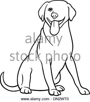 300x340 Labrador Retriever Dog Cartoon For Coloring Stock Photo, Royalty
