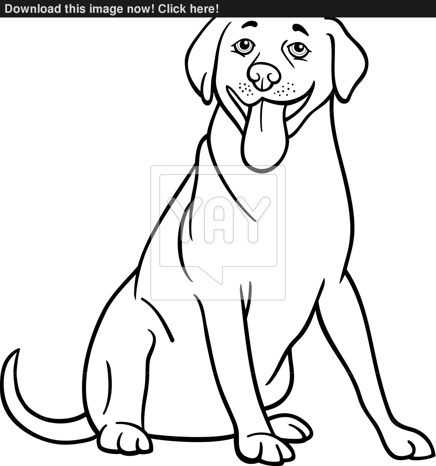 1497x1600 Labrador Retriever Dog Cartoon For Coloring Vector