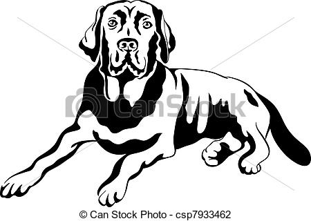 450x320 Labrador Retriever Clipart Black And White