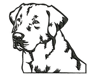 340x270 Labrador Embroidery Etsy
