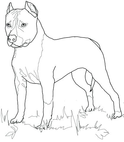 419x480 Labrador Retriever Coloring Pages