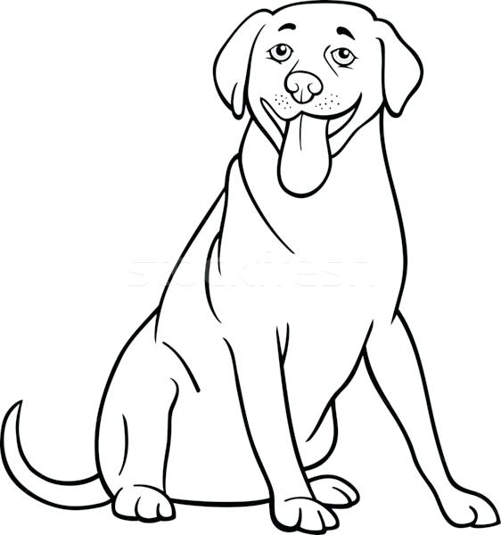 562x600 Labrador Retriever Coloring Pages Pin By On Coloring Pages