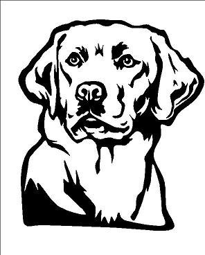 Labrador Drawing at GetDrawings | Free download