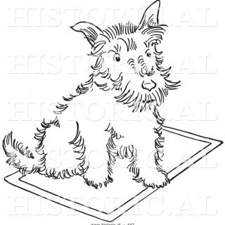 320x320 Tag For Drawing Of A Sitting Dog Dog Cat Rabbit Animal Drawing