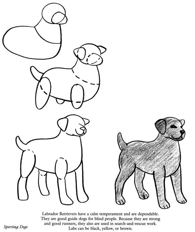 647x770 Whenever I Draw A Dog From My Imagination It Ends Up Looking Like
