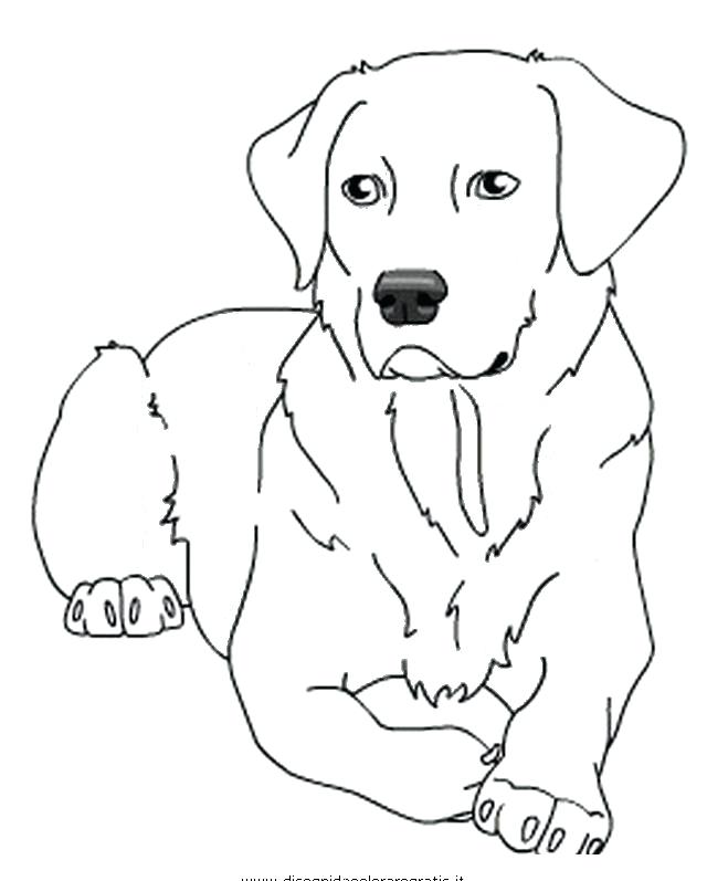 Labrador Line Drawing at GetDrawings | Free download