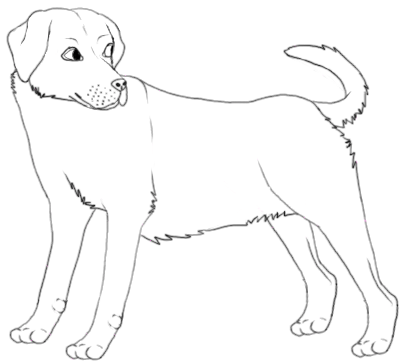 402x364 Labrador Lineart By Icibubble