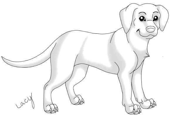 600x400 Labrador Retriever Lineart By Xx Lacy Xx