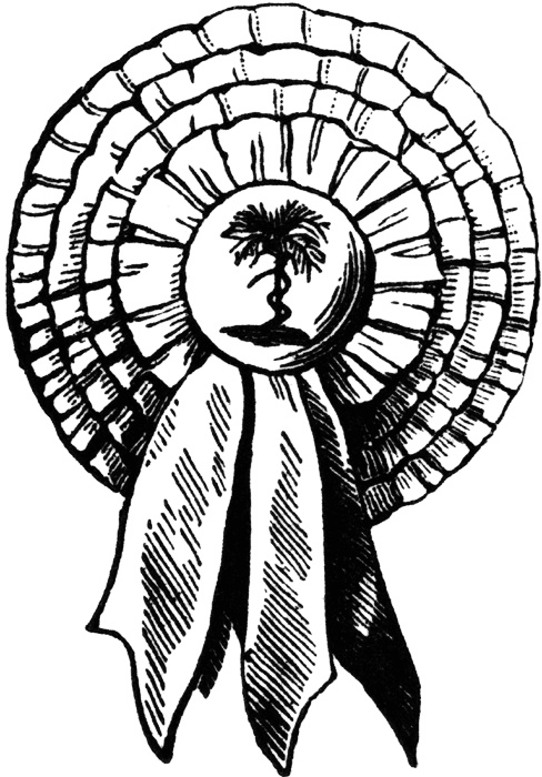 488x700 77 Best Cockades Amp Ribbons Images On Civil Wars