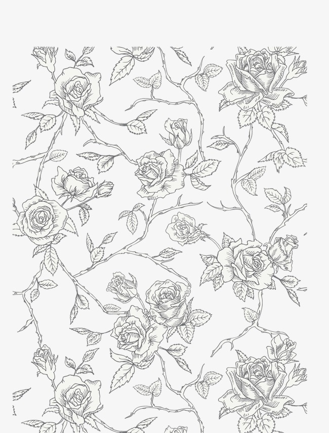 650x856 Hand Painted Flowers, Lace, Rose Pattern, Line Drawing Flowers Png