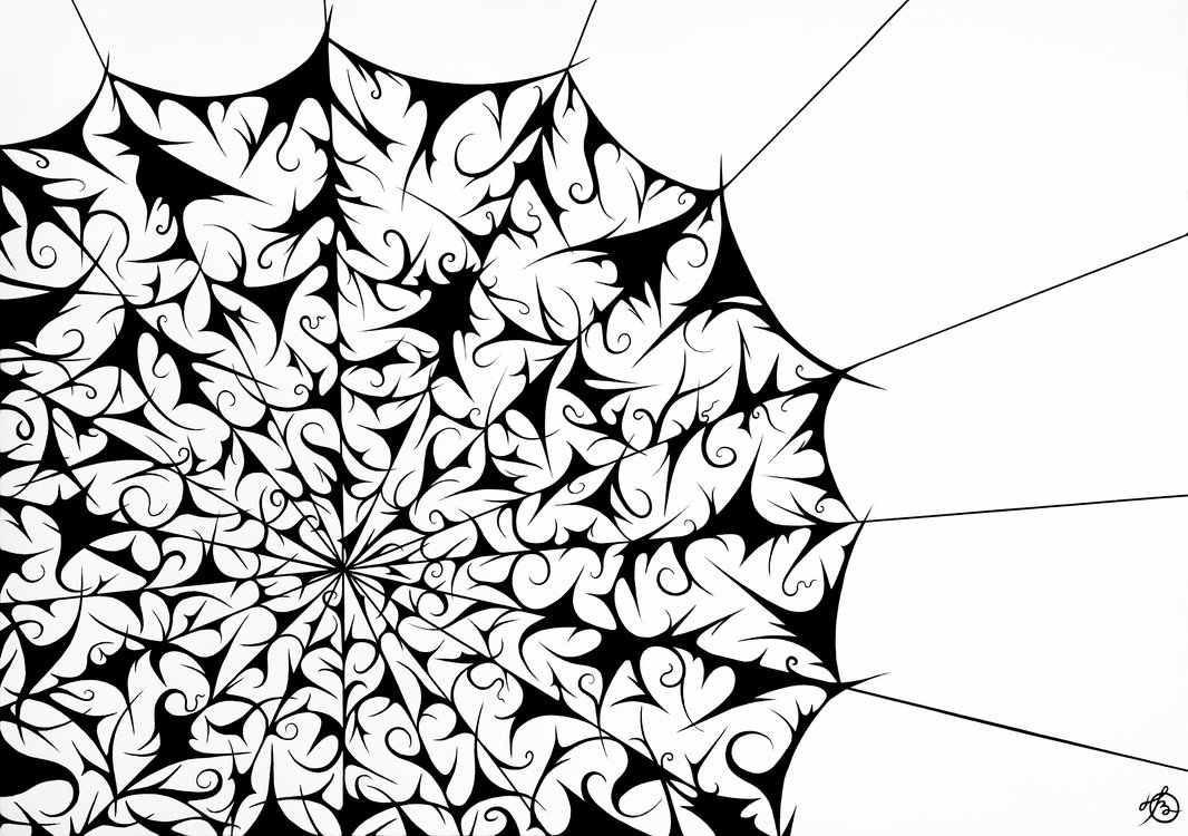 1066x750 Lace Web By Ov Art