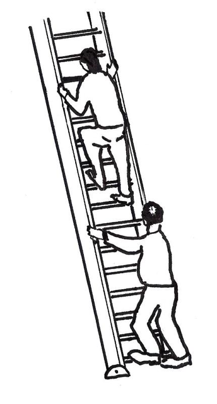 430x800 Ladder Clipart Black And White