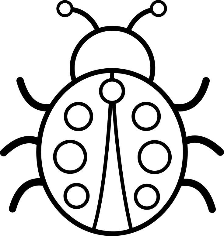 736x777 Marvellousspiration Bug Outline Beetle Clipart Pencil And