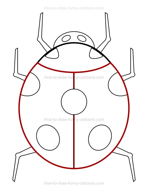 520x675 To Draw A Cartoon Ladybug