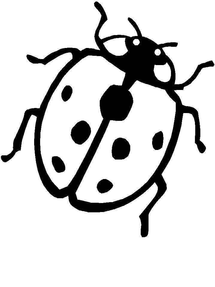718x957 Ladybug Coloring Pages Are Very Suitable For The Children