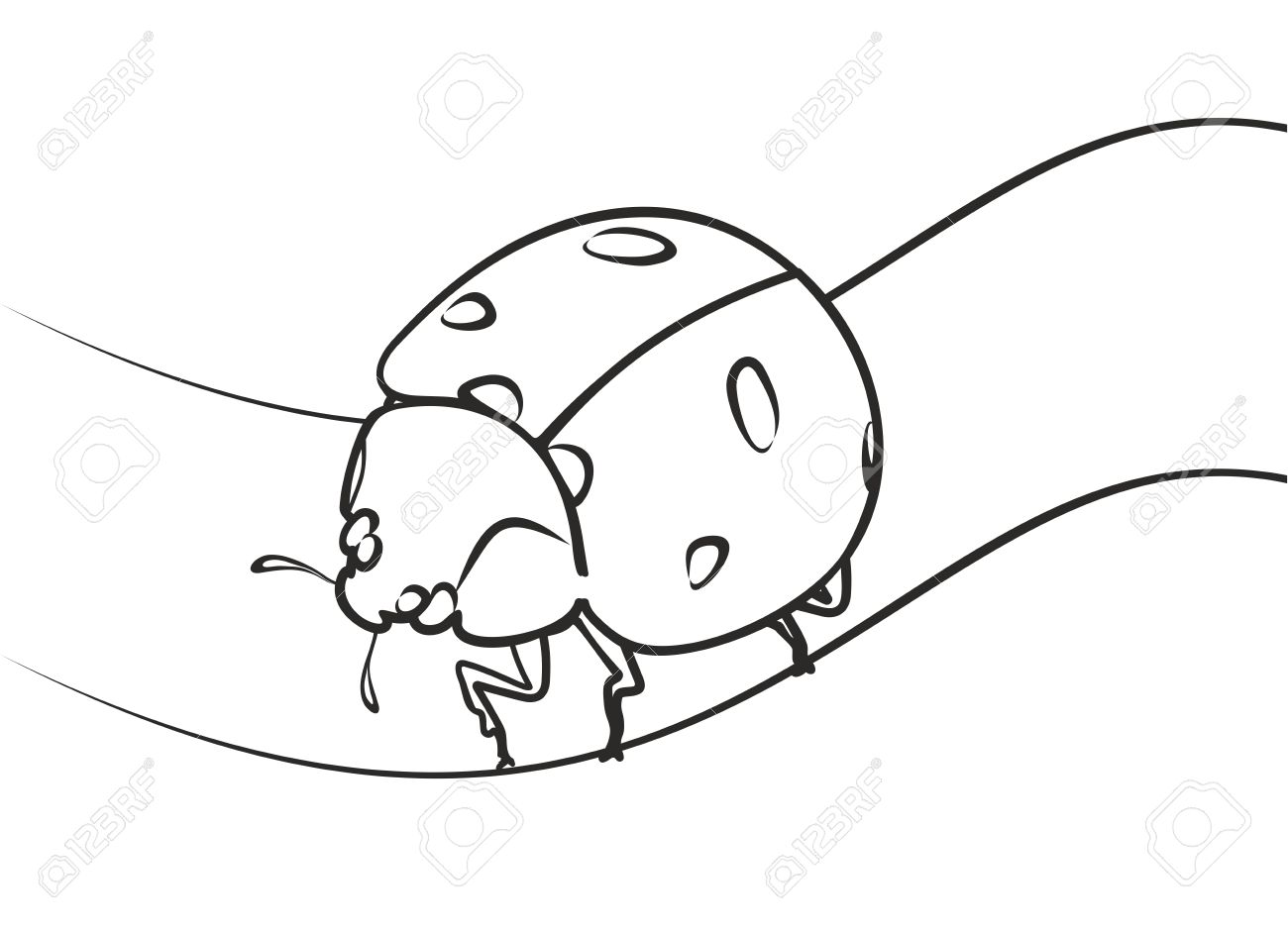 1300x941 Ladybug On The Grass. Sketch. Royalty Free Cliparts, Vectors,