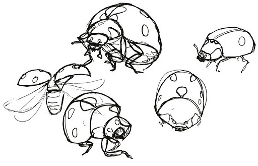 512x329 Ladybird Sketches Chris Fraser On Line