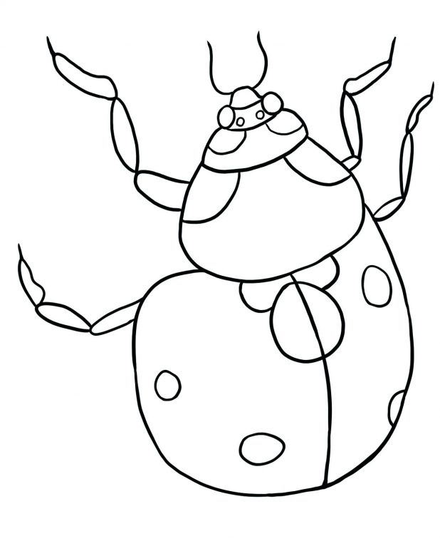 618x773 Ladybug Cartoon Coloring Pages Free Printable To Print Online