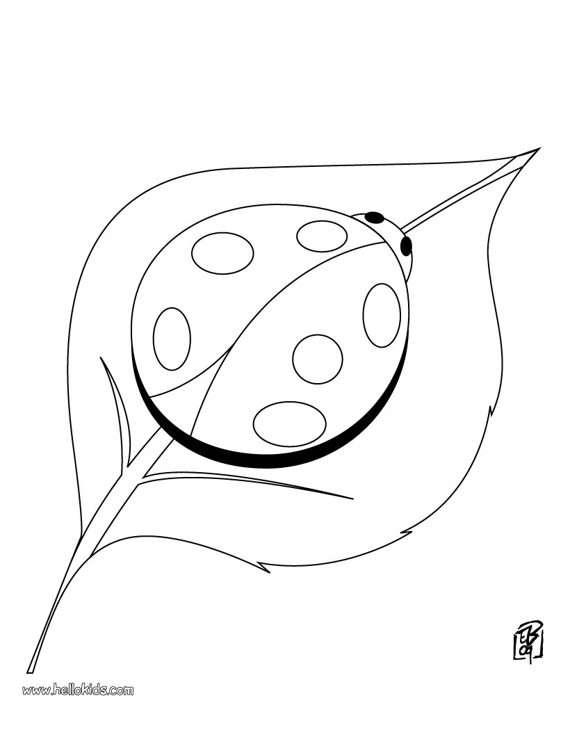 820x1060 Ladybug Coloring Pages, Videos For Kids, Drawing For Kids, Kids