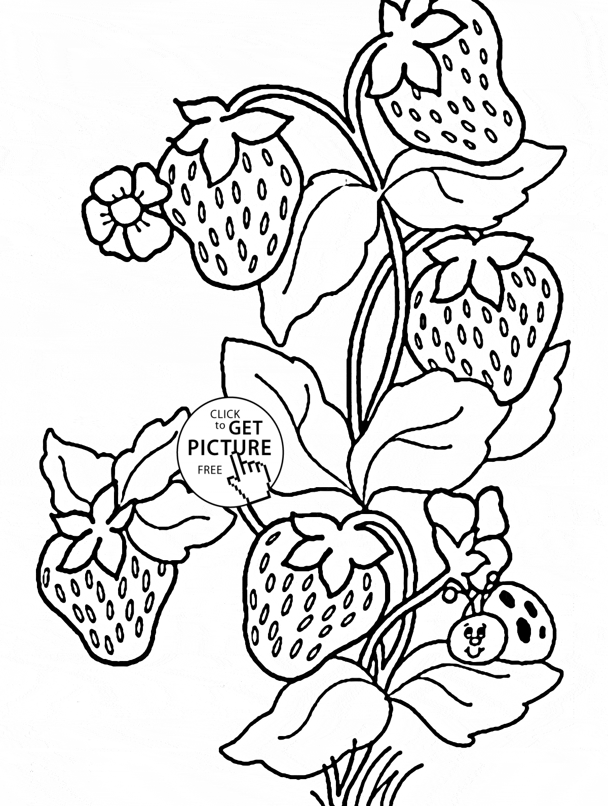 1200x1590 Ladybug And Strawberries Coloring Page For Kids, Fruits Coloring