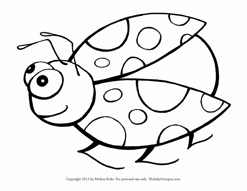 800x618 Ladybug Clipart Outline