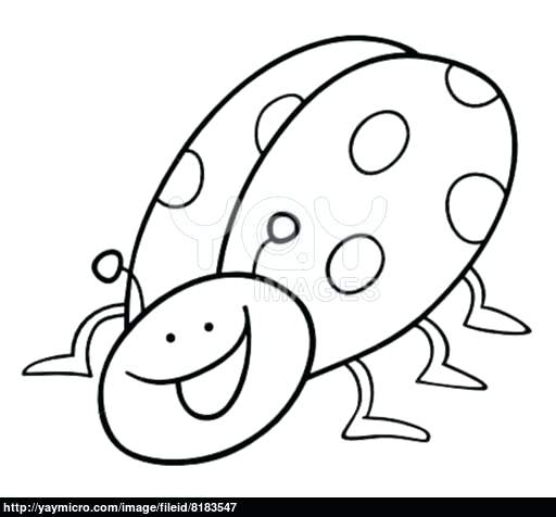 512x476 Ladybug Coloring Book Plus Lady Bug Coloring Pages Ladybug