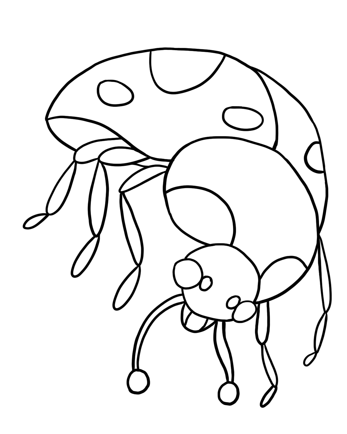 1200x1500 Realistic Ladybug Drawing Clipart Panda