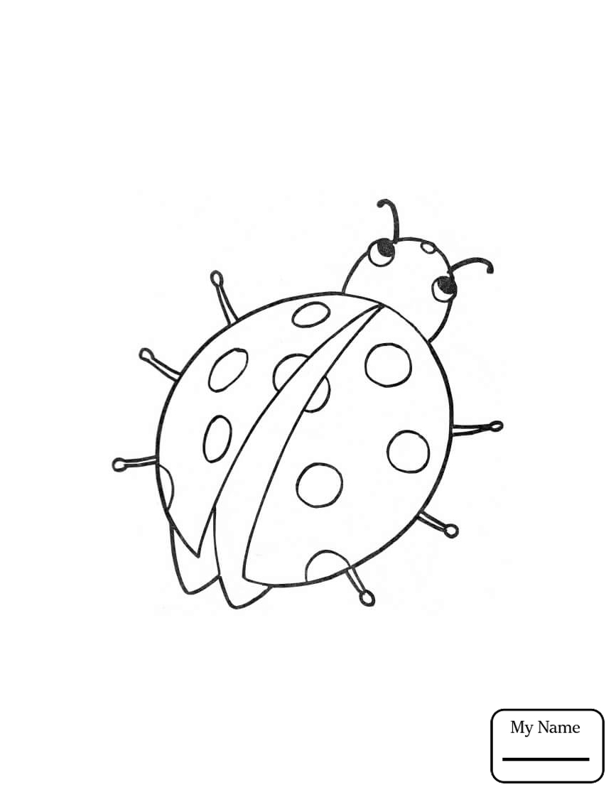 867x1122 Coloring Pages For Kids Insects Cartoon Ladybug Ladybug