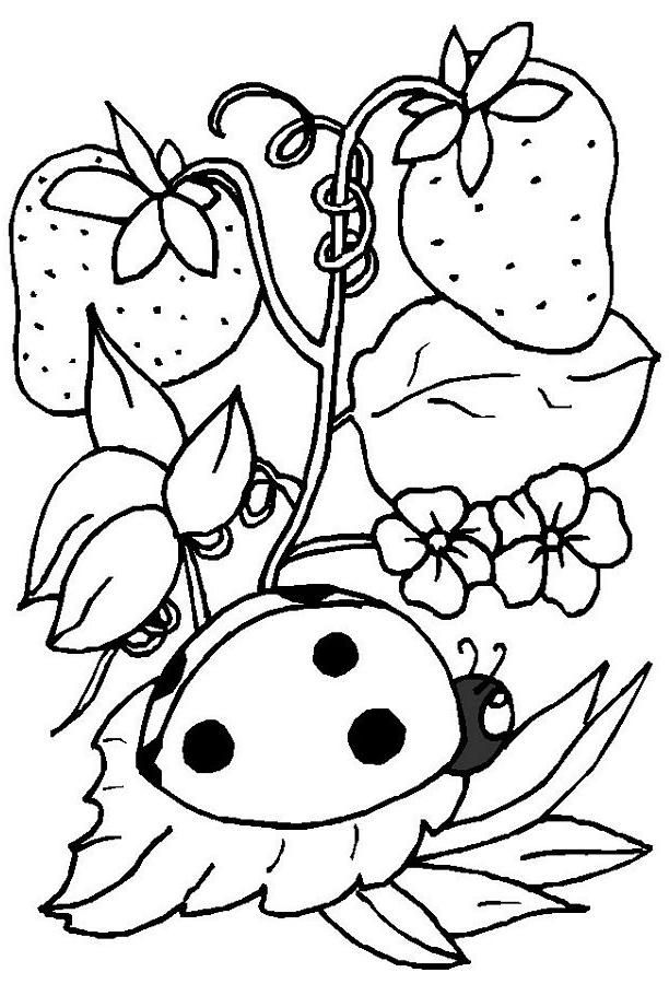 612x900 Cute Ladybug Coloring Pages Preschool In Cure Draw Paint The Girl
