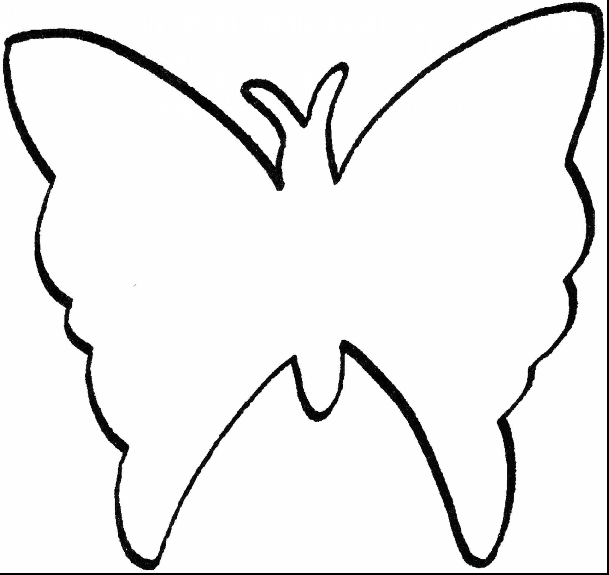2539x2398 Dazzling Design Bug Outline Beautiful Butterfly Coloring Pages