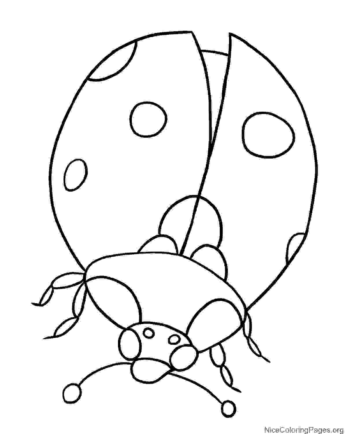 1200x1500 How To Draw Ladybug Step By Step