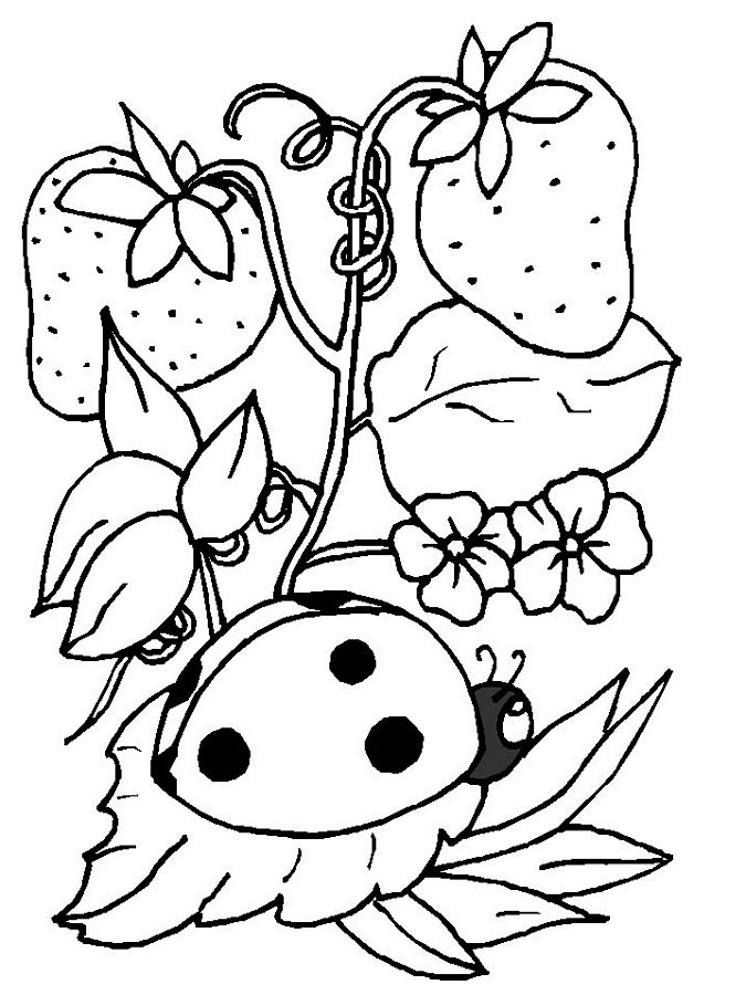 675x900 Lady Bug Coloring Page Printable Pictures Ladybug Coloring Pages